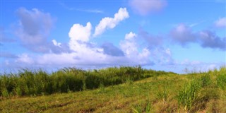 Saint Kitts ve Nevis hava tahmini