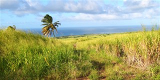 Saint Kitts ve Nevis hava tahmini