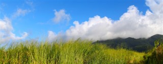 Saint Kitts ve Nevis hava tahmini