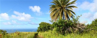 Saint Kitts ve Nevis hava tahmini