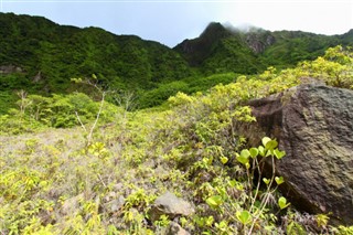 Saint Kitts ve Nevis hava tahmini