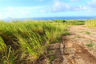 Saint Kitts ve Nevis hava tahmini