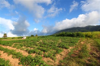 Saint Kitts and Nevis weather forecast