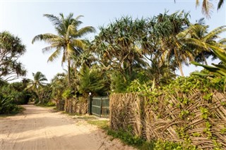 Saint Lucia vejrudsigt