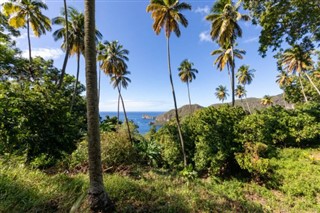 Saint Lucia vejrudsigt