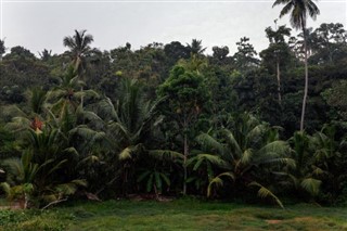 Saint Lucia időjárás-jelentés