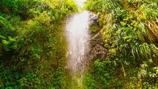 Saint Lucia weather forecast