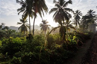 Saint Lucia vejrudsigt