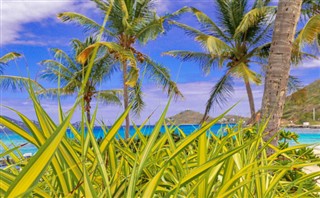 Saint Vincent ve Grenadines hava tahmini