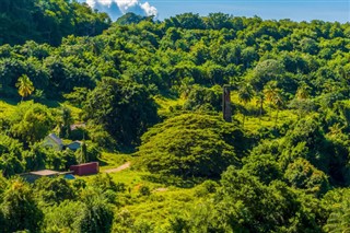 Saint-Vincent-et-les-Grenadines prévisions météorologiques