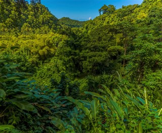 Saint Vincent ve Grenadines hava tahmini