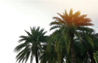 Samoa hava tahmini