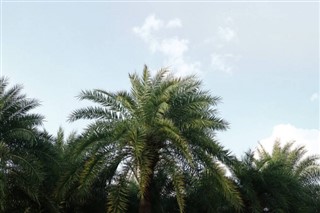 Samoa hava tahmini