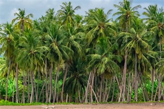 Sao Tome ve Principe hava tahmini