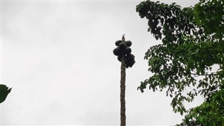 Sao Tome és Principe időjárás-jelentés