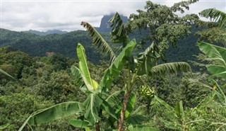 Sao Tome ve Principe hava tahmini