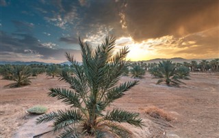 Suudi Arabistan hava tahmini
