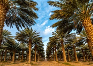 Arabie Saoudite prévisions météorologiques
