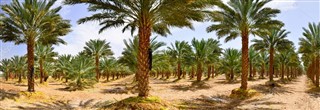 Suudi Arabistan hava tahmini