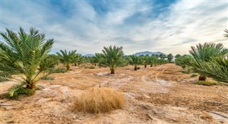 Arabia Saudita pronóstico del tiempo