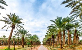 Suudi Arabistan hava tahmini