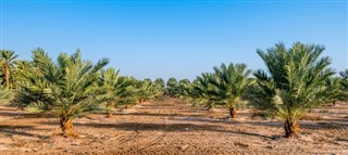 Suudi Arabistan hava tahmini