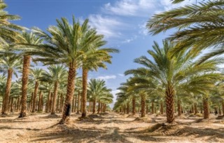 Suudi Arabistan hava tahmini