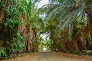 Saudi Arabien vejrudsigt