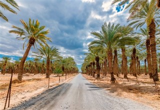 Arabie Saoudite prévisions météorologiques