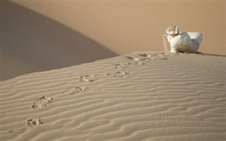 Saudská arábie předpověď počasí