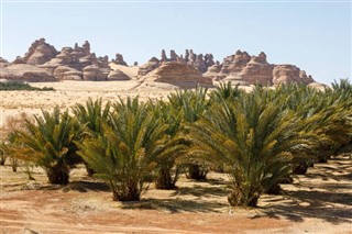 Suudi Arabistan hava tahmini