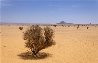 Suudi Arabistan hava tahmini