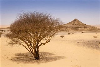 Suudi Arabistan hava tahmini