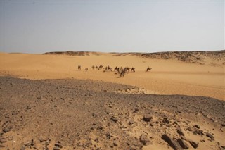 Saudi Arabien vejrudsigt