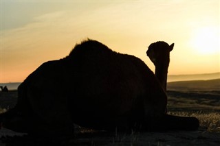 Suudi Arabistan hava tahmini