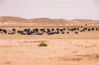 Suudi Arabistan hava tahmini