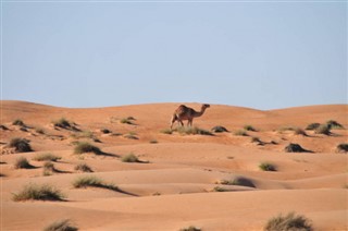 Suudi Arabistan hava tahmini