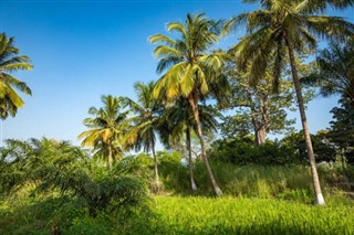 Senegal hava tahmini