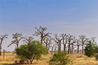 Sénégal prévisions météorologiques