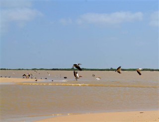 Senegal hava tahmini