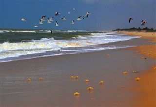Senegal hava tahmini
