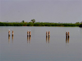 Senegal hava tahmini