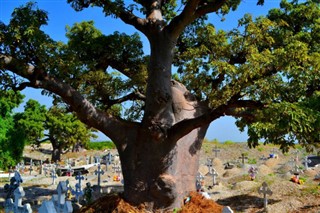 Senegal hava tahmini