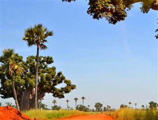 Senegal hava tahmini