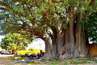 Senegal hava tahmini