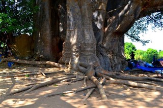 Senegal hava tahmini