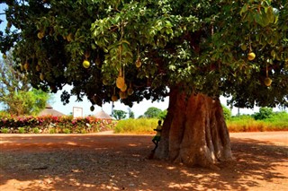 Senegal Hava tahmini