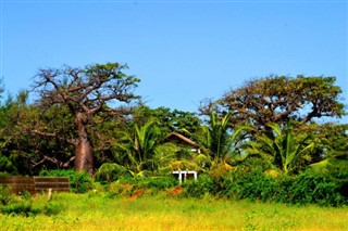 Senegal vejrudsigt