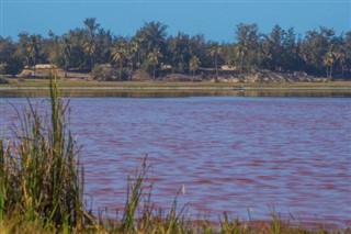 Senegal hava tahmini