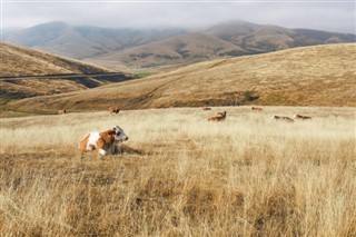 Sırbistan hava tahmini